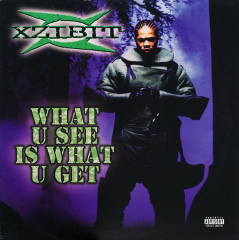 Xzibit - What You See is What You Get 12" Single 1998 Lous - Hip Hop