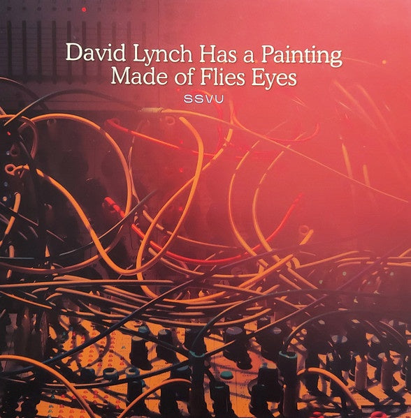 SSVU – David Lynch Has A Painting Made Of Flies Eyes / Suzanne Ciani - New 7" Single Record Store Day Black Friday 2022 New Machine RSD Vinyl - Alternative Rock