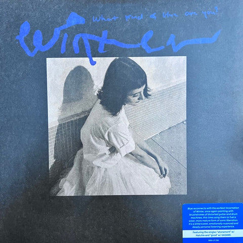 Winter – What Kind Of Blue Are You? - New LP Record 2022 Bar/None Vinyl - Dream Pop / Indie Rock