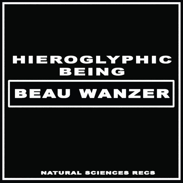 Beau Wanzer x Hieroglyphic Being – 4 Dysfunctional Psychotic Release & Sonic Reprogramming Purposes Only - New 12" Single Record 2022 Natural  Sciences Vinyl - Chicago Local Electro / Industrial