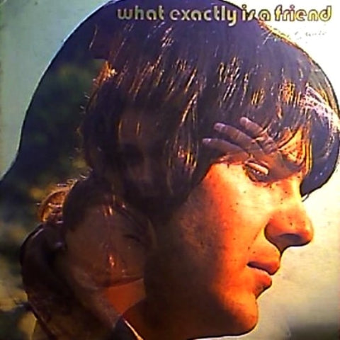 Peter Cofield – What Exactly Is A Friend - VG+ LP Record 1972 Metromedia USA Promo Vinyl - Pop Rock / Soft Rock