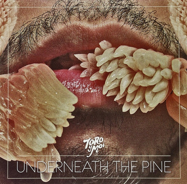 Toro Y Moi - Underneath the Pine - Mint- LP Record 2011 Carpark Vinyl & Download - Indie Pop / Chillwave