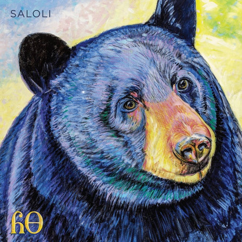Saloli – Canyon - New LP Record 2023 Kranky Vinyl - Electronic / Ambient