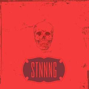 STNNNG ‎– Fake Fake - New Lp Record 2006 Modern Radio USA Vinyl - Minneapolis - Noise / Post Rock
