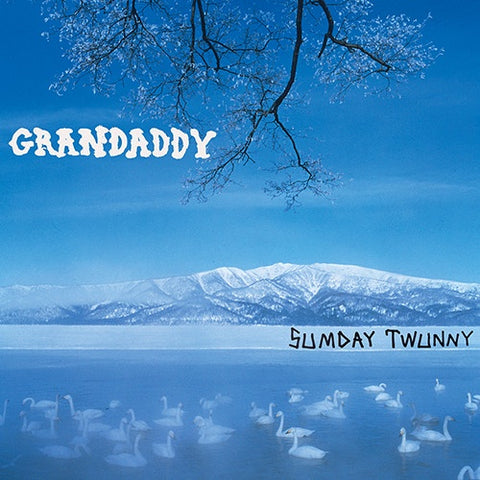Grandaddy – Sumday Twunny (2003) - New 4 LP Box Set Record 2023 Dangerbird Vinyl - Alternative Rock / Indie Rock
