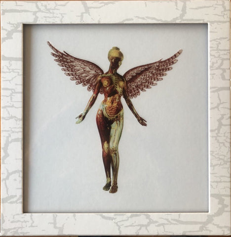 Nirvana – In Utero - New 8 LP Record Box Set 2023 Geffen 180 gram Vinyl, Book, Gig Flyers, Poster, Tickets, more! - Rock / Grunge