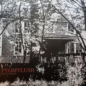 Pygmy Lush – Mount Hope (2008) - Mint- LP Record 2009 Lovitt USA 180 gram Vinyl, Insert & Download - Indie Rock / Acoustic