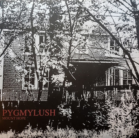 Pygmy Lush – Mount Hope (2008) - Mint- LP Record 2009 Lovitt USA 180 gram Vinyl, Insert & Download - Indie Rock / Acoustic