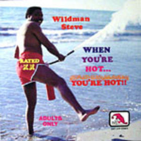 Wildman Steve – When You're Hot -- You're Hot!!! - VG+ 1976 Stereo USA - Comedy