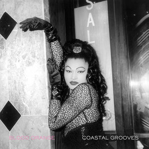 Blood Orange - Coastal Grooves - New Lp Record 2011 USA Vinyl & Download - R&B / Synth-pop