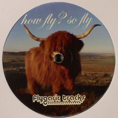 Various - How Fly? So Fly - Volume 1 - New 12" Single Record 2004 Flygaric Tracks Vinyl - Deep House