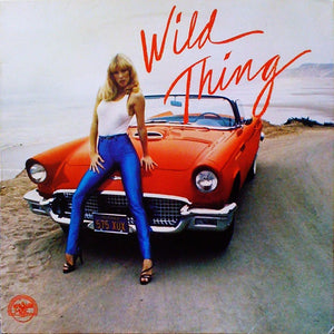 Various – Wild Thing - VG+ LP Record 1980 Warner USA Vinyl - Pop Rock / Garage Rock / Beat - Shuga Records