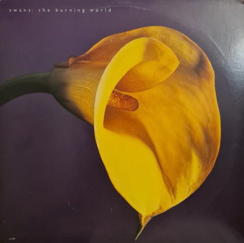 Swans – The Burning World - Mint- LP Record 1989 UNI USA Vinyl - Rock / Goth Rock