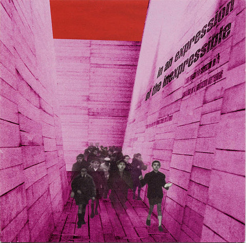 Blonde Redhead - In An Expression of the Inexpressible (1998) - New LP Record 2021 Touch and Go USA Vinyl & Download - Indie Rock