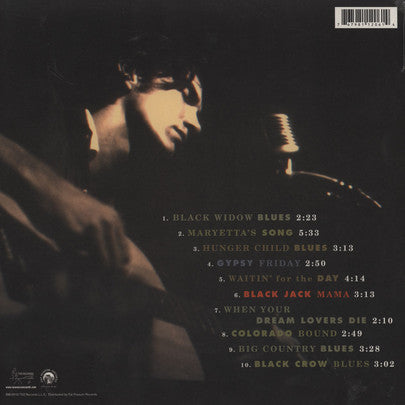 Townes Van Zandt ‎– In The Beginning... (2003) - New LP Record 2010 Fat Possum USA Vinyl & Download - Country Rock - Shuga Records