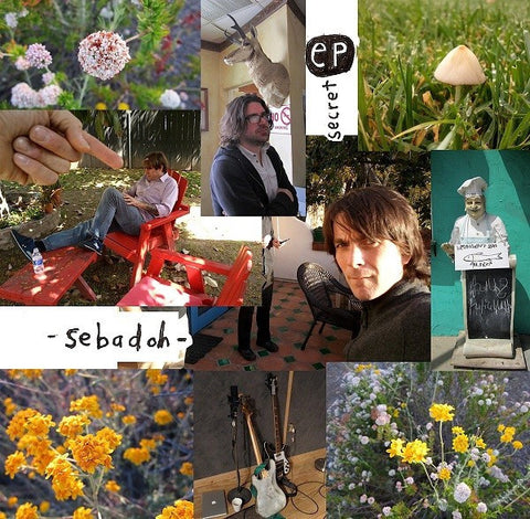 Sebadoh - Secret EP - New Vinyl Record 2013 Sub Pop Records LP + Download - Indie Rock / Lo-Fi