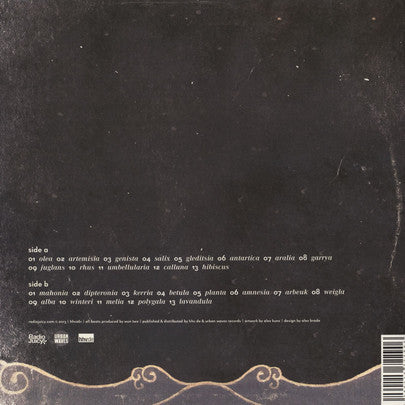 Wun Two ‎– Ships - New Lp Record 2013 HHV German Import Vinyl - Hip Hop / Instrumental - Shuga Records