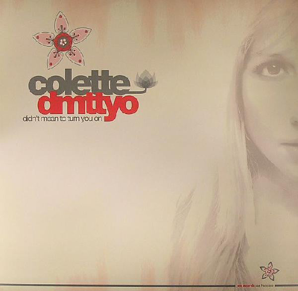 Colette – Didn't Mean To Turn You On - VG+ 12" USA 2005 - Chicago House