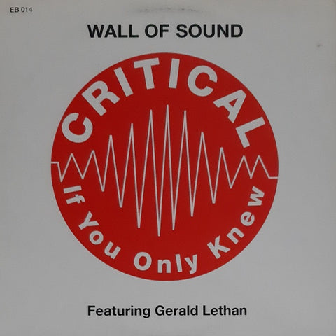 Wall Of Sound Featuring Gerald Lethan – Critical (If You Only Knew) - VG+ 12" Single Record 2023 Eightball Vinyl - House / Deep House