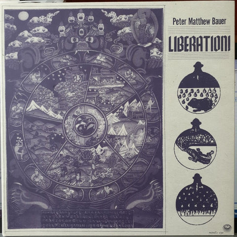 Peter Matthew Bauer – Liberation! - Mint- LP Record 2014 Mexican Summer Vinyl & Numbered - Indie Rock