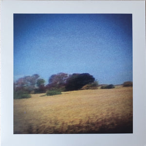 Sun Kil Moon – Benji - Mint- 2 LP Record 2014 Caldo Verde Clear Vinyl & Insert - Folk Rock / Acoustic - Shuga Records