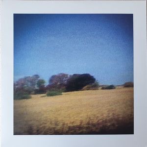 Sun Kil Moon – Benji - Mint- 2 LP Record 2014 Caldo Verde Clear Vinyl & Insert - Folk Rock / Acoustic