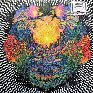 Meatbodies ‎(Ty Segall) – Meatbodies - Mint- Lp Record 2014 USA Vinyl - Psychedelic Rock / Garage Rock