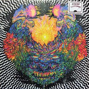 Meatbodies ‎(Ty Segall) – Meatbodies - Mint- Lp Record 2014 USA Vinyl - Psychedelic Rock / Garage Rock - Shuga Records