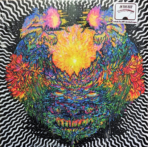 Meatbodies ‎(Ty Segall) – Meatbodies - Mint- Lp Record 2014 USA Vinyl - Psychedelic Rock / Garage Rock