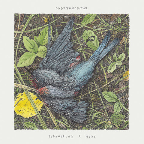 Caddywhompus - Feathering a Nest - New Vinyl Record 2014 Community Records 2nd Press of 500 Black Vinyl - Prog Rock / Math Rock / Indie
