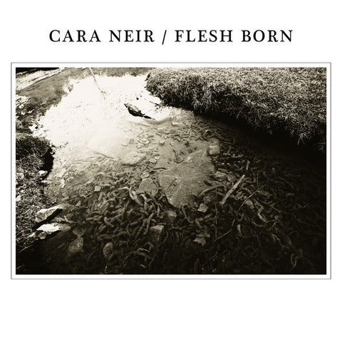 Cara Neir / Flesh Born – Split - Mint- LP Record 2014 Dingleberry Epileptic USA Vinyl - Emo / Grindcore / Black Metal