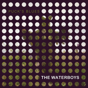 Waterboys, The - Puck's Blues - New 10" Vinyl RSD 2015 Pressing - Includes download, limited to 1100 - Shuga Records