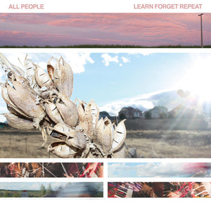 All People - Learn Forget Repeat - New Vinyl 2015 Community Records First Press (250!) on Ultra Clear / Baby Blue Mix Vinyl (Gorgeous!) - Post-Punk / Experimental Indie