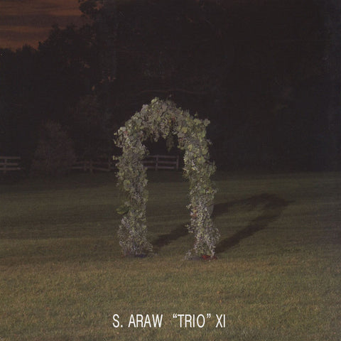 Sun Araw 'Trio' XI - Gazebo Affect - New Vinyl Record 2015 Sun Ark Records Deluxe Gatefold 2-LP - Experimental Rock / Avant Garde / Psychedelic