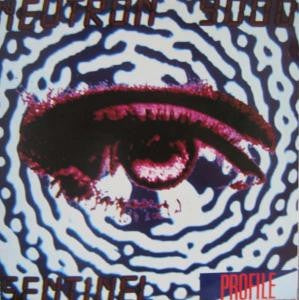 Neutron 9000 – Sentinel (The Steve Proctor Mixes) - VG+ 12" Single Record 1990 Profile UK Vinyl - Techno / House / Leftfield