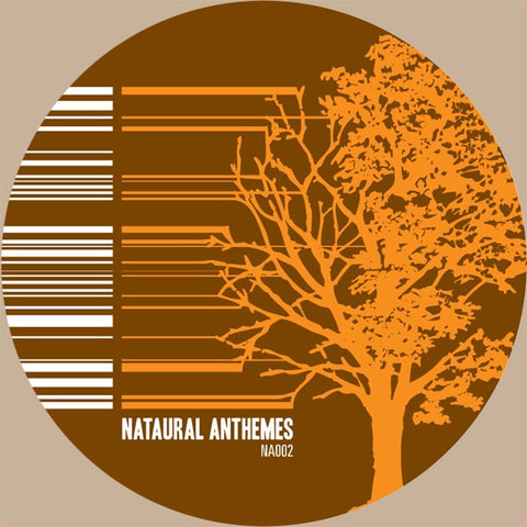 Various – Antheme 02: Studies In Detailed Design - Mint- 12" Single Record 2005 Nataural Anthemes Vinyl - House / Glitch / Abstract