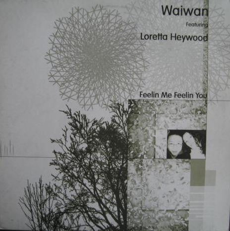 Waiwan Featuring Loretta Heywood – Feelin Me Feelin You - New 12" Single Record 2001 Earth Project UK Vinyl - Deep House / Future Jazz