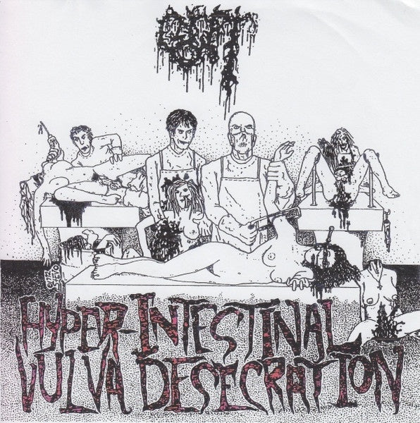 Gut – Hyper-Intestinal Vulva Desecration - Mint- 7" EP Record 1994 Necroharmonic USA Vinyl, Insert & Numbered - Pornogrind - Shuga Records