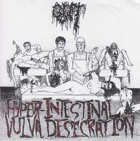 Gut – Hyper-Intestinal Vulva Desecration - Mint- 7" EP Record 1994 Necroharmonic USA Vinyl, Insert & Numbered - Pornogrind