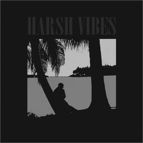 Harsh Vibes  – You Left Me Far Behind - New EP Record 2016 Dirty Pillows USA Vinyl - Philadelphia Shoegaze / Krautrock / Psychedelic Rock