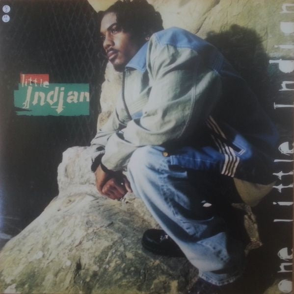 Little Indian - One Little Indian - Mint- 12" Single Record 1995 Premeditated USA Promo Vinyl - Hip Hop - Shuga Records