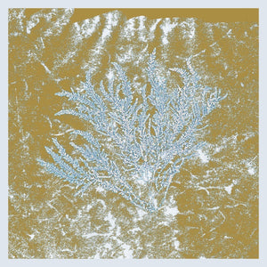 Huerco S. – For Those Of You Who Have Never (And Also Those Who Have) (2016) - New 2 LP Record 2021 Proibito Vinyl - Ambient / Experimental Electronic