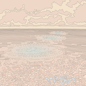 Mutual Benefit - Skip a Sinking Stone - New LP Record 2016 Mom + Pop Translucent Splatter Grey Vinyl & Download - Indie Rock / Folk Rock
