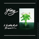 Yung - A Youthful Dream - New Lp Record 2016 Fat Possum USA Vinyl & Download - Rock / Punk