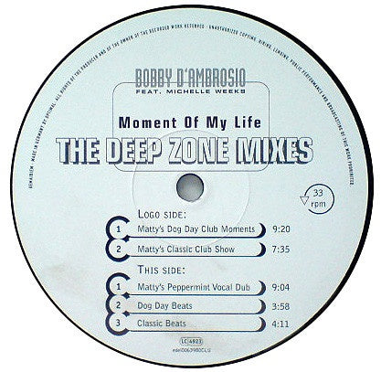 Bobby D'Ambrosio – Moment Of My Life (The Deepzone Mixes) - New 12" Single Record 1997 Club Tools Germany Vinyl - House