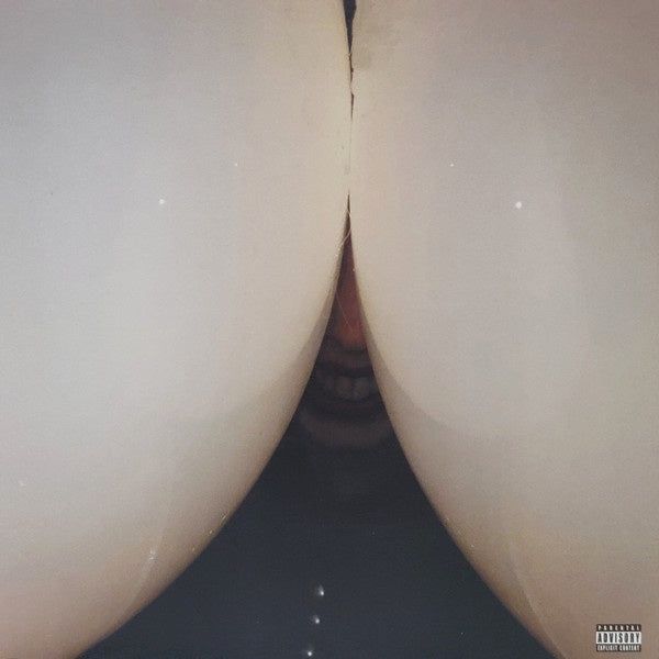 Death Grips - Bottomless Pit - Mint- LP Record 2016 Harvest Third Worlds USA Vinyl & Insert - Hip Hop / Hardcore Hip-Hop / Rhythmic Noise - Shuga Records