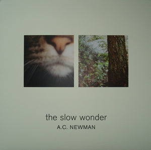 A.C. Newman(The New Pornographers) – The Slow Wonder - Mint- 2004 (Original Press) - Rock