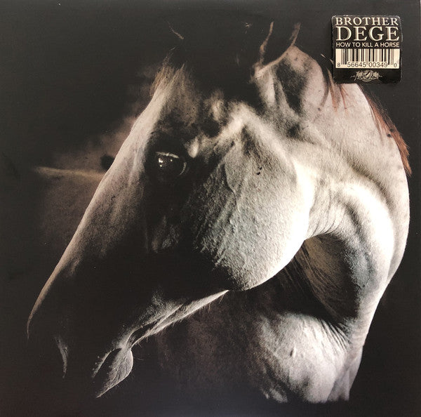 Brother Dege - How to Kill a Horse - New Lp Record 2015 Magic Bullet USA Clear Vinyl - Southern Rock / Folk Rock