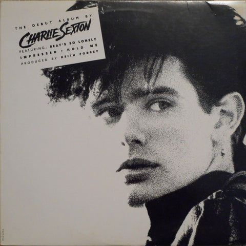 Charlie Sexton – Pictures For Pleasure - VG+ LP Record 1985 MCA USA Vinyl - Pop Rock / Synth-pop