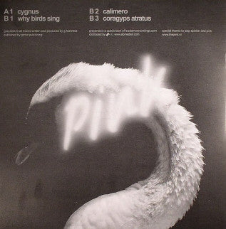 Alexis Tyrel - When Gray Turns Pink - New 12" Single Record 2007 Grayarea Netherlands Vinyl - Techno / Minimal - Shuga Records
